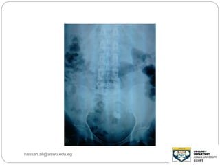 hassan.ali@aswu.edu.eg
 