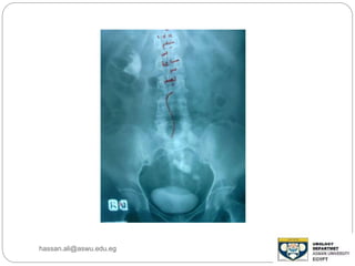 hassan.ali@aswu.edu.eg
 