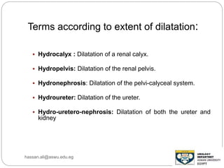 Terms according to extent of dilatation:
 Hydrocalyx : Dilatation of a renal calyx.
 Hydropelvis: Dilatation of the renal pelvis.
 Hydronephrosis: Dilatation of the pelvi-calyceal system.
 Hydroureter: Dilatation of the ureter.
 Hydro-uretero-nephrosis: Dilatation of both the ureter and
kidney
hassan.ali@aswu.edu.eg
 