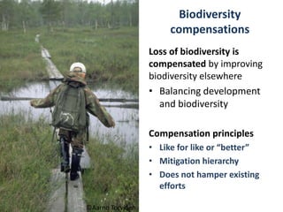 Biodiversity
compensations
Loss of biodiversity is
compensated by improving
biodiversity elsewhere
• Balancing development
and biodiversity
Compensation principles
• Like for like or “better”
• Mitigation hierarchy
• Does not hamper existing
efforts
©Aarno Torvinen
 