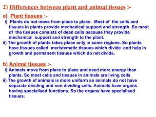 2) Differences between plant and animal tissues :-
a) Plant tissues :-
i) Plants do not move from place to place. Most of the cells and
tissues in plants provide mechanical support and strength. So most
of the tissues consists of dead cells because they provide
mechanical support and strength to the plant.
ii) The growth of plants takes place only in some regions. So plants
have tissues called meristematic tissues which divide and help in
growth and permanent tissues which do not divide.
b) Animal tissues :-
i) Animals move from place to place and need more energy than
plants. So most cells and tissues in animals are living cells.
ii) The growth of animals is more uniform so animals do not have
separate dividing and non dividing cells. Animals have organs
having specialised functions. So the organs have specialised
tissues.
 
