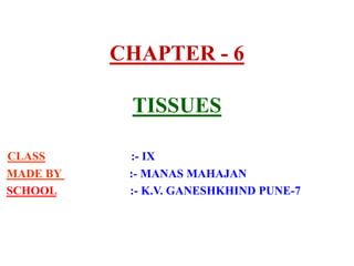 CHAPTER - 6
TISSUES
CLASS :- IX
MADE BY :- MANAS MAHAJAN
SCHOOL :- K.V. GANESHKHIND PUNE-7
 