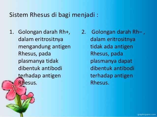 Pemeriksaan jenis bakteri (ade welni)