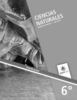 CIENCIAS
NATURALES
Segundo Semestre ∙ Año 2017
6°
Planificación
Derechos reservados Aptus Chile
 