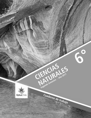 CIENCIAS
NATURALES
Segundo Semestre ∙ Año 2017
6°
Cuaderno de trabajo
Derechos reservados Aptus Chile
 