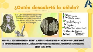 ¿Quién descubrió la célula?
 