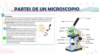PARTES DE UN MICROSCOPIO
 