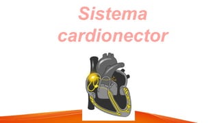 Sistema
cardionector
 