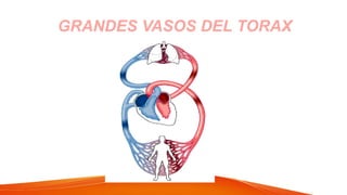 GRANDES VASOS DEL TORAX
 