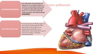 Relaciones del tronco pulmonar:
• por intermedio del pericardio se
relaciona con la pared torácica, a
nivel de la extremidad interna del
2do
espacio intercostal izquierdo,
entre 15 y 18 mm por fuera del
borde izquierdo del esternónA LA
IZQUIERDA
ANTEROSUPERIORES:
• el seno transverso de Theile separa a la
arteria de la aurícula izquierda. Más
hacia arriba la cara posterior está
desprovista de pericardio seroso,
adhiriéndose al pericardio fibroso que la
separa de la tráquea y bronquio
principal izquierdo
POSTEROINFERIORES:
 
