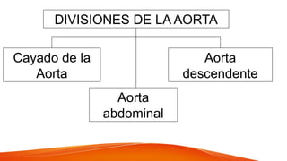 DIVISIONES DE LA AORTA
Aorta
descendente
Aorta
abdominal
Cayado de la
Aorta
 