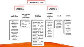 CAYADO DE LA AORTA
SEGMENTO
ASCENDENTE
EN EL
PERICARDIO
Origen la
dilatación del
seno de
Valsalva,
arterias
coronarias y
relaciona con
la gran vena
coronaria
linfáticos y
nervios del
plexo
cardiaco.
INTERMEDIO
DEL
PERICARDIO
se relaciona
con el
manubrio
esternal
SEGMENTO
HORIZONTAL
ATRÁS Y
DERECHA
se aleja de la vena
cava superior y
cruza la cara
antero lateral
izquierda de la
tráquea, cruza el
borde izquierdo del
esófago, en donde
se relaciona con el
nervio recurrente
izquierdo y los
nervios cardiacos
posteriores.
También tiene
relación con el
conducto torácico.
ADELANT
E E
IZQUIERD
A
CRUZADA:
-Nervios
cardiacos
anteriores
-Nervio
vago
izquierdo
-Nervio
frénico
izquierdo
ABAJO
se aplica
sobre el
origen del
bronquio
izquierdo.
ARRIBA
SALEN:
-El tronco
braquiocef
alico
-La
carótida -
izquierda
La
subclavia
izquierda
 