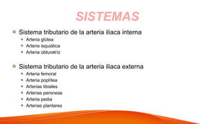 Sistema tributario de la arteria iliaca interna
Arteria glútea
Arteria isquiática
Arteria obturatríz
Sistema tributario de la arteria iliaca externa
Arteria femoral
Arteria poplítea
Arterias tibiales
Arterias peroneas
Arteria pedia
Arterias plantares
SISTEMAS
 