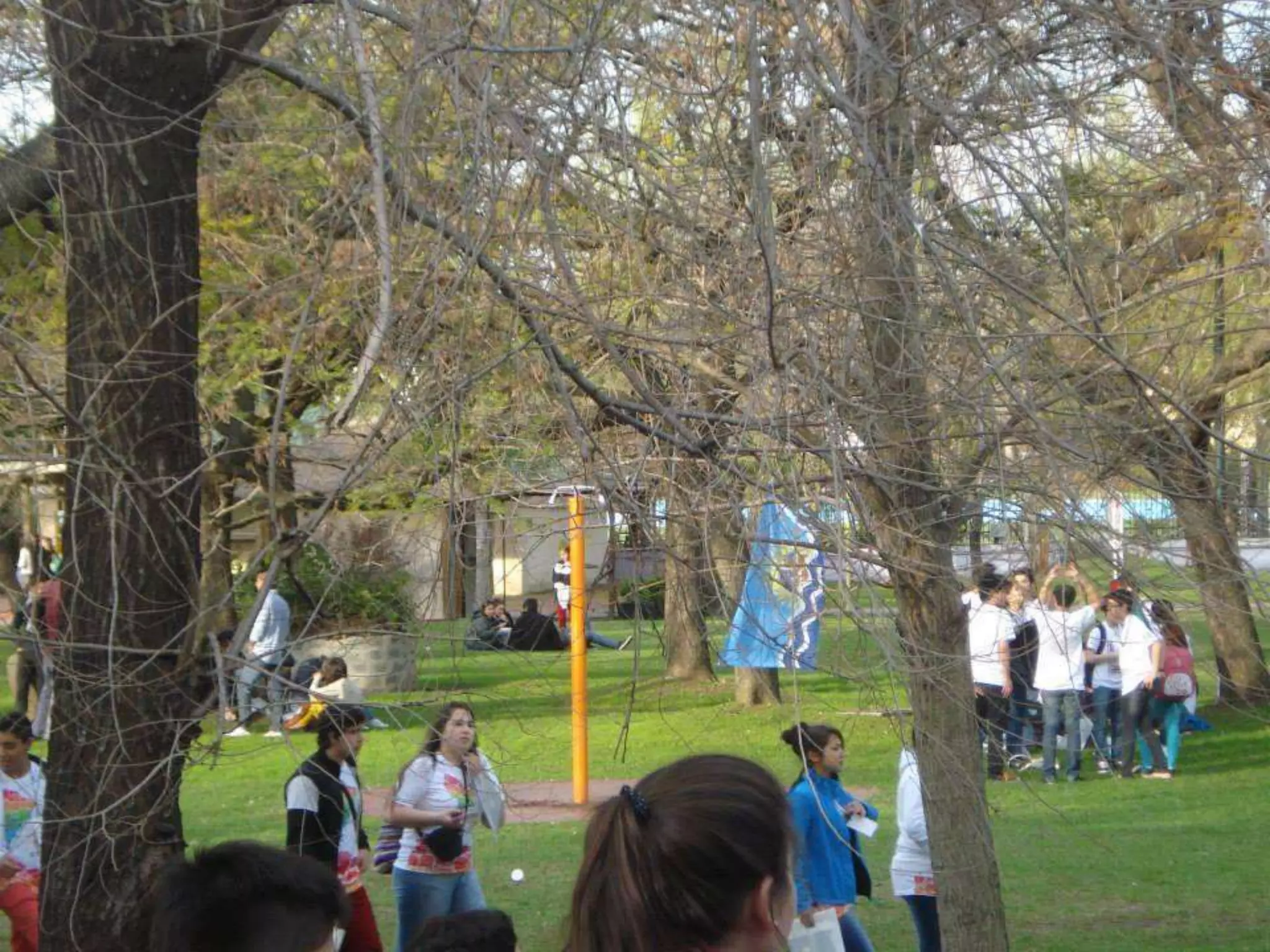 6to encuentro del Parlamento Juvenil del Mercosur 2015