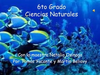 6to Grado Ciencias Naturales Con la maestra Natalia Osinaga Por Tomás Yacante y Martín Beliavy 