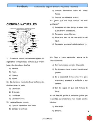 6to Grado Evaluación del Segundo Bimestre / Noviembre - Diciembre
9
CIENCIAS NATURALES
31.- Son restos, huellas e impresiones dejados por
organismos como plantas y animales que vivieron
hace miles de millones de años:
a) Estratos.
b) Hojas.
c) Huesos.
d) Fósiles.
32.- Es el proceso mediante el cual se forman las
distintas capas del suelo:
a) La erosión.
b) El tiempo.
c) Los fósiles.
d) La estratificación.
33.- La estratificación permite:
a) Conocer los estratos en la tierra.
b) Conocer la geología.
c) Conocer información sobre los restos
fósiles.
d) Conocer los colores de la tierra.
34.- ¿Para qué nos sirve conocer las eras
geológicas?
a) Para tener una idea del tipo de seres vivos
que habitaron en cada una.
b) Para saber sobre el tiempo.
c) Para tener idea de las características del
agua.
d) Para saber acerca del método carbono 14.
35.- Elige la mejor explicación acerca de la
selección natural:
a) Son los restos de animales del pasado.
b) Es el área donde se localizan los restos del
pasado.
c) Es la capacidad de los seres vivos para
adaptarse y sobrevivir al ambiente y sus
cambios.
d) Son las capas en que está formada la
tierra.
36.- Se presume que fue el felino más grande que
ha existido, su característica más notable son los
colmillos:
a) Murciélago.
b) Elefante.
Lainitas México
 