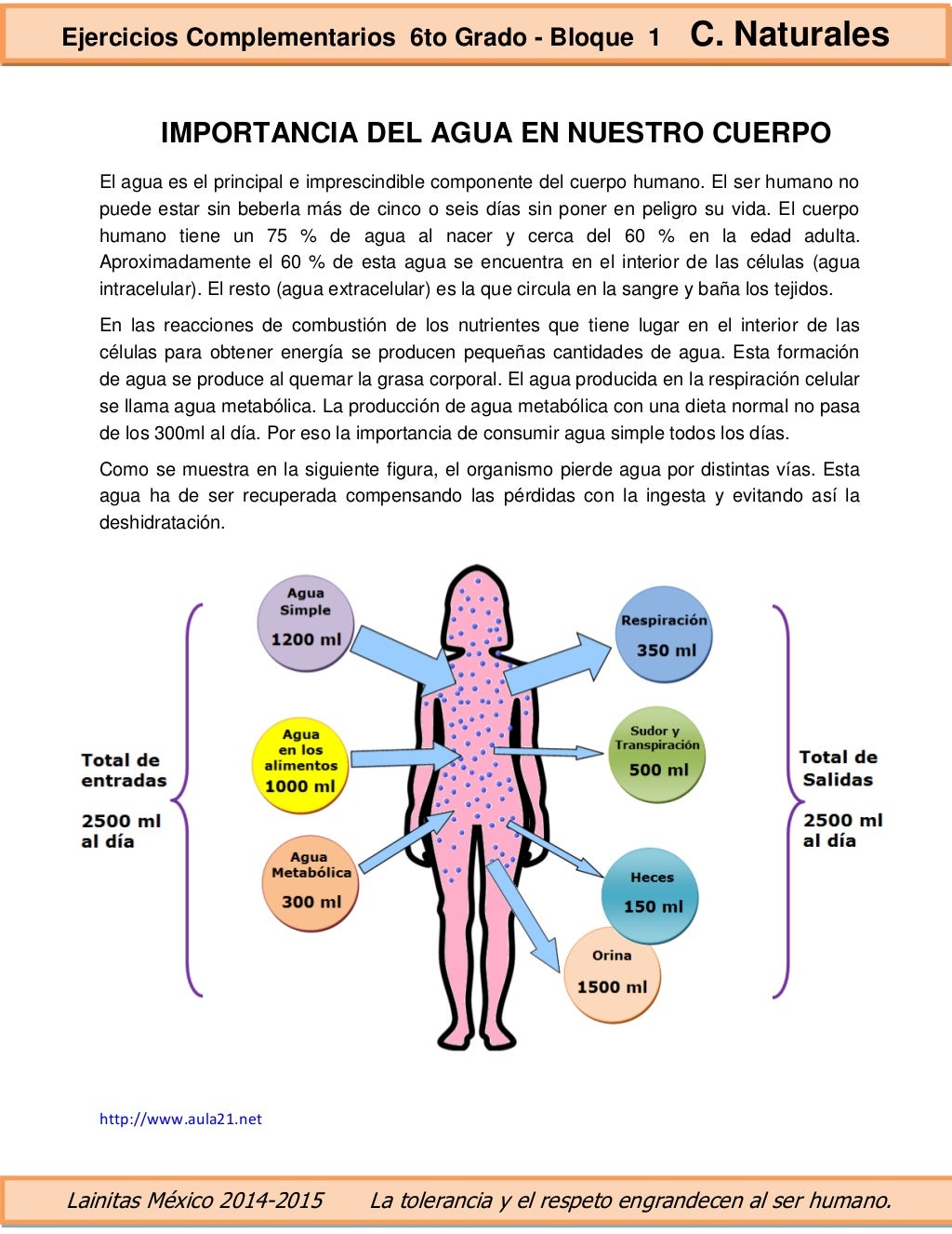 6to grado bloque 1 ejercicios complementarios