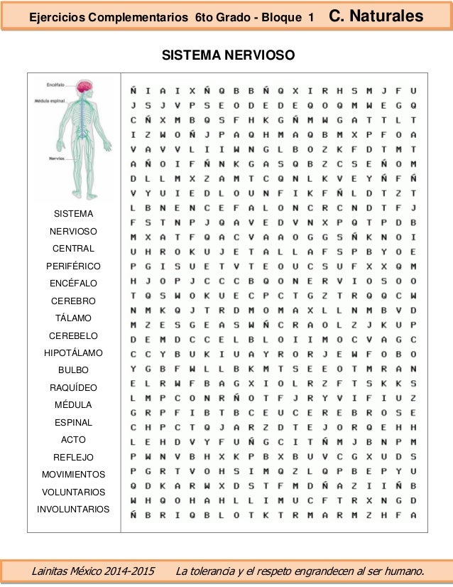 6to grado bloque 1 ejercicios complementarios