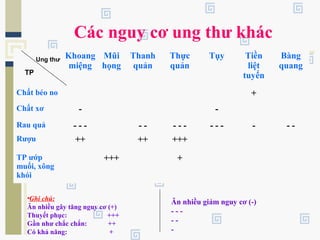 Các nguy cơ ung thư khác
Khoang
miệng
Mũi
họng
Thanh
quản
Thực
quản
Tụy Tiền
liệt
tuyến
Bàng
quang
Chất béo no +
Chất xơ - -
Rau quả - - - - - - - - - - - - - -
Rượu ++ ++ +++
TP ướp
muối, xông
khói
+++ +
Ung thư
TP
•Ghi chú:
Ăn nhiều gây tăng nguy cơ (+)
Thuyết phục: +++
Gần như chắc chắn: ++
Có khả năng: +
Ăn nhiều giảm nguy cơ (-)
- - -
- -
-
 