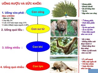 Con công
Con sư tử
Con khỉ
Con lợn
1. Uống vừa phải :
2. Uống quá liều :
3. Uống nhiều :
4. Uống quá nhiều :
UỐNG RƯỢU VÀ SỨC KHỎE:
3đơn vị ROH/d3đơn vị ROH/d
1đơn vị = 10g:1đơn vị = 10g:
•1 lon bia 5%1 lon bia 5%
•1 cốc (125 ml) rượu vang 11%1 cốc (125 ml) rượu vang 11%
•1 chén (40ml) rượu mạnh1 chén (40ml) rượu mạnh ≥≥ 40%40%
• Hưng phấnHưng phấn
• Khoan khoáiKhoan khoái
• Da dẻ hồng hàoDa dẻ hồng hào
• Tự tinTự tin
• Đẹp như con côngĐẹp như con công
∀↑↑ Hưng phấnHưng phấn
• Tinh thần phấnTinh thần phấn
khíchkhích
• Tự tin quá mứcTự tin quá mức
• Ăn to nói lớnĂn to nói lớn
• Cảm thấy mạnhCảm thấy mạnh
như con sư tửnhư con sư tử
• RL ý thứcRL ý thức
• Không kiểm soátKhông kiểm soát
được hành viđược hành vi
• Hành động theoHành động theo
bản năngbản năng
• Phản xạ bắt trướcPhản xạ bắt trước
như con khỉnhư con khỉ
• Ức chế mạnhỨc chế mạnh
• Mắt, mặt ngầu đỏMắt, mặt ngầu đỏ
• Nói lảm nhảmNói lảm nhảm
• Ngáy khò khòNgáy khò khò
như con lợnnhư con lợn
 