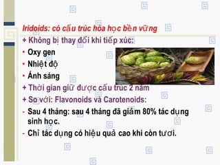 Iridoids: có c u trúc hóa h c b n v ngấ ọ ề ữ
+ Không b thay đ i khi ti p xúc:ị ổ ế
• Oxy gen
• Nhi t đệ ộ
• Ánh sáng
+ Th i gian gi đ c c u trúc 2 nămờ ữ ượ ấ
+ So v i: Flavonoids và Carotenoids:ớ
- Sau 4 tháng: sau 4 tháng đã gi m 80% tác d ngả ụ
sinh h c.ọ
- Ch tác d ng có hi u qu cao khi còn t i.ỉ ụ ệ ả ươ
 