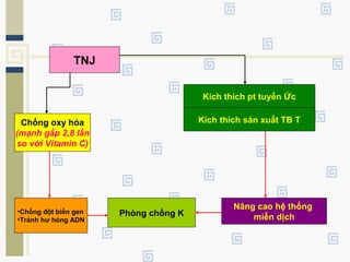 TNJ
Chống oxy hóa
(mạnh gấp 2,8 lần
so với Vitamin C)
•Chống đột biến gen
•Tránh hư hỏng ADN
Phòng chống K
Kích thích pt tuyến Ức
Kích thích sản xuất TB T
Nâng cao hệ thống
miễn dịch
 