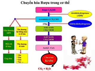 Chuyển hóa Rượu trong cơ thểChuyển hóa Rượu trong cơ thể
Rượu CRượu C22HH55OHOH
Acetaldehyd CHAcetaldehyd CH33CHOCHO
Acid AceticAcid Acetic
CHCH33COOHCOOH
Acid AceticAcid Acetic
CHCH33COOHCOOH
Acetyl - CoAAcetyl - CoA
AlcoldehydrogenaseAlcoldehydrogenase
(ADH)(ADH)
AldehyddehydrogenaseAldehyddehydrogenase
Chu trìnhChu trình
KrebsKrebs
COCO22 + H+ H22OO
Tổn thươngTổn thương
ADNADN
Tổn thươngTổn thương
hệ thống menhệ thống men
và tế bàovà tế bào
Tổn thươngTổn thương
tổ chứctổ chức
• NãoNão
• TimTim
• GanGan
• Tụy …Tụy …
Ung thưUng thư
Biến dịBiến dị
tế bàotế bào
[10g][10g]
 