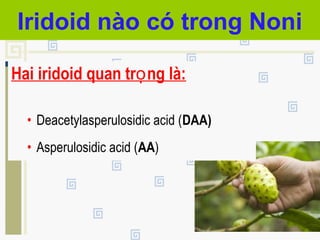 Iridoid nào có trong Noni
Hai iridoid quan tr ng là:ọ
• Deacetylasperulosidic acid (DAA)
• Asperulosidic acid (AA)
 