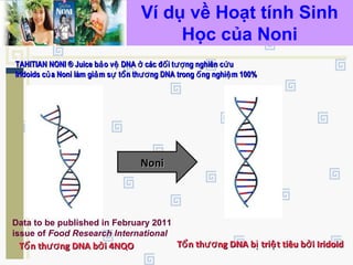 Ví dụ về Hoạt tính Sinh
Học của Noni
TAHITIAN NONI ® Juice b o v DNA các đ i t ng nghiên c uả ệ ở ố ượ ứTAHITIAN NONI ® Juice b o v DNA các đ i t ng nghiên c uả ệ ở ố ượ ứ
Iridoids c a Noni làm gi m s t n th ng DNA trong ng nghi m 100%ủ ả ự ổ ươ ố ệIridoids c a Noni làm gi m s t n th ng DNA trong ng nghi m 100%ủ ả ự ổ ươ ố ệ
T n th ng DNA b i 4NQOổ ươ ởT n th ng DNA b i 4NQOổ ươ ở
NoniNoni
T n th ng DNA b tri t tiêu b i Iridoidổ ươ ị ệ ởT n th ng DNA b tri t tiêu b i Iridoidổ ươ ị ệ ở
Data to be published in February 2011
issue of Food Research International
 