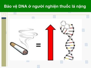 Bảo vệ DNA ở người nghiện thuốc lá nặng
 