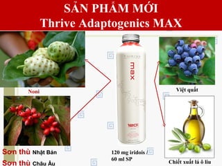 SẢN PHẨM MỚI
Thrive Adaptogenics MAX
120 mg iridois /
60 ml SP
Noni Việt quất
Chiết xuất lá ô liu
Sơn thù Nhật Bản
Sơn thù Châu Âu
 