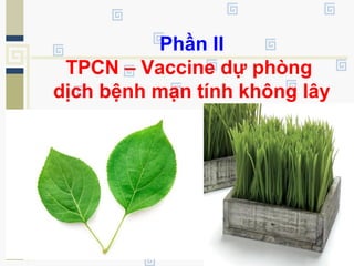 Phần II
TPCN – Vaccine dự phòng
dịch bệnh mạn tính không lây
 