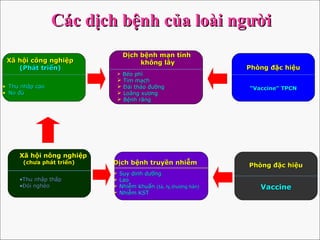 Xã hội công nghiệpXã hội công nghiệp
(Phát triển)(Phát triển)
• Thu nhập caoThu nhập cao
• No đủNo đủ
Dịch bệnh mạn tínhDịch bệnh mạn tính
không lâykhông lây
 Béo phìBéo phì
 Tim mạchTim mạch
 Đái tháo đườngĐái tháo đường
 Loãng xươngLoãng xương
 Bệnh răngBệnh răng
Phòng đặc hiệuPhòng đặc hiệu
““Vaccine” TPCNVaccine” TPCN
Phòng đặc hiệuPhòng đặc hiệu
VaccineVaccine
Dịch bệnh truyền nhiễmDịch bệnh truyền nhiễm
 Suy dinh dưỡngSuy dinh dưỡng
 LaoLao
 Nhiễm khuẩnNhiễm khuẩn (tả, lỵ,thương hàn)(tả, lỵ,thương hàn)
 Nhiễm KSTNhiễm KST
Xã hội nông nghiệpXã hội nông nghiệp
(chưa phát triển)(chưa phát triển)
•Thu nhập thấpThu nhập thấp
•Đói nghèoĐói nghèo
Các dịch bệnh của loài ngườiCác dịch bệnh của loài người
 
