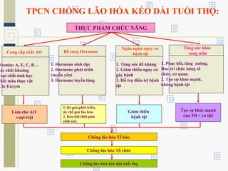TPCN CHỐNG LÃO HÓA KÉO DÀI TUỔI THỌ:
THỰC PHẨM CHỨC NĂNG
Làm cho AO
vượt trội
Chống lão hóa Tế bào
Chống lão hóa Tổ chức
Chống lão hóa kéo dài tuổi thọ
Cung cấp chất AO
Vitamin: A, E, C, B…
Các chất khoáng
Hoạt chất sinh học
Chất màu thực vật
Các Enzym
Bổ sung Hormone
1. Hormone sinh dục
2. Hormone phát triển
(tuyến yên)
3. Hormone tuyến tùng
Ngăn ngừa nguy cơ
bệnh tật
1. Tăng sức đề kháng
2. Giảm thiểu nguy cơ
gây bệnh
3. Hỗ trợ điều trị bệnh
tật
Tăng sức khỏe
sung mãn
1. Phục hồi, tăng cường,
Duy trì chức năng tổ
chức, cơ quan.
2. Tạo sự khỏe mạnh,
không bệnh tật
1. Kt gen phát triển,
ức chế gen lão hóa.
2. Kéo dài thời gian
sinh sản.
Giảm thiểu
bệnh tật
Tạo sự khỏe mạnh
của TB + cơ thể
 
