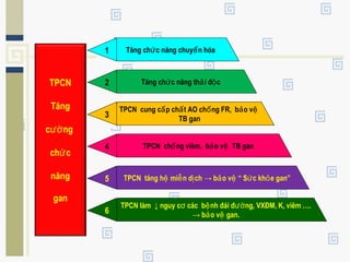 TPCN
Tăng
c ngườ
ch cứ
năng
gan
Tăng ch c năng chuy n hóaứ ể
Tăng ch c năng th i đ cứ ả ộ
1
2
TPCN cung c p ch t AO ch ng FR, b o vấ ấ ố ả ệ
TB gan3
TPCN ch ng viêm, b o v TB ganố ả ệ4
TPCN tăng h mi n d ch → b o v “ S c kh e gan”ệ ễ ị ả ệ ứ ỏ5
TPCN làm ↓ nguy c các b nh đái đ ng, VXĐM, K, viêm ….ơ ệ ườ
→ b o v gan.ả ệ6
 