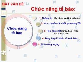 Chức năng tế bào:
1. Thông tin: tiếp nhận, xử lý, truyền tin
5. Sinh năng lượng
4. Tổng hợp Protein và xuất bào
2. Vận chuyển vật chất qua màngTB
3. Tiêu hóa chất: Nhập bào – Tiêu
hóa – Xuất bào
Chức năng
tế bào
ĐẶT VẤN ĐỀ
 
