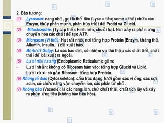 2. Bào t ng:ươ
(1) Lysosom: nang nh , g i là th tiêu (Lyse = tiêu; some = th ) ch a cácỏ ọ ể ể ứ
Enzym, th y phân m nh, phân h y tri t đ Protid và Glucid.ủ ạ ủ ệ ể
(2) Mitochondrie: (Ty l p th ): Hình n n, chu i h t. N i x y ra ph n ngạ ể ế ỗ ạ ơ ả ả ứ
chuy n hóa các ch t đ t o ATP.ể ấ ể ạ
(3) Microsom (Vi th ):ể H t r t nh , n i t ng h p Protein (Enzym, kháng th ,ạ ấ ỏ ơ ổ ợ ể
Allumin, Insulin…) đ xu t bào.ể ấ
(4) B /l i Golgy:ộ ướ Là các bao d t, có nhi m v thu th p các ch t ti t, ch tẹ ệ ụ ậ ấ ế ấ
th i đ bài xu t ra ngoài.ả ể ấ
(5) L i n i t ngướ ộ ươ (Endoplasmic Reticulum): g m:ồ
- L i nh n: không có Ribosom bám vào: t ng h p Glucid và Lipid.ướ ẵ ổ ợ
- L i xù xì: có g n Ribosom: t ng h p Protein.ướ ắ ổ ợ
(6) Khung t bàoế (Cytoskeleton): c u trúc d ng l i g m các vi ng, các s iấ ạ ướ ồ ố ợ
actin, có ch c năng v n chuy n ion, các phân t nh .ứ ậ ể ử ỏ
(7) Không bào (Vacuole): là các nang l n, ch ch t th i, ch t tích lũy và x yớ ứ ấ ả ấ ả
ra ph n ng tiêu (không bào tiêu hóa).ả ứ
 