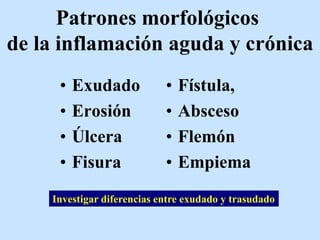 Patrones morfológicos
de la inflamación aguda y crónica
• Exudado
• Erosión
• Úlcera
• Fisura
• Fístula,
• Absceso
• Flemón
• Empiema
Investigar diferencias entre exudado y trasudado
 