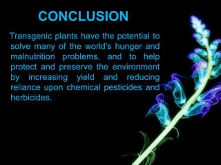CONCLUSION
Transgenic plants have the potential to
solve many of the world's hunger and
malnutrition problems, and to help
protect and preserve the environment
by increasing yield and reducing
reliance upon chemical pesticides and
herbicides.
 