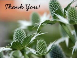 trnsgenic plants and animls