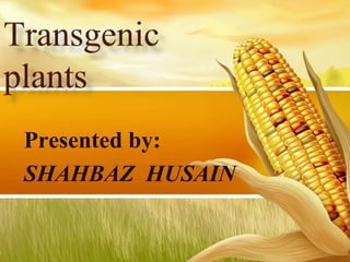 Presented by:
SHAHBAZ HUSAIN
 