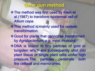 Gene gun method
The method was first used by Klein et
al.(1987) to transform epidermal cell of
Allium cepa.
This method is mainly used for cereals
transformation.
Good for plants that cannot be transformed
by Agrobacterium, e.g. most monocot
DNA is bound to tiny particles of gold or
tungsten which are subsequently shot into
plant tissue or single plant cells under high
pressure.The particles penetrate both
the cellwall and membranes.
 