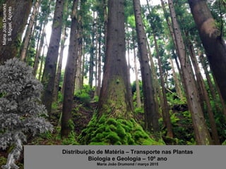 MariaJoãoDrumond
S.Miguel,Açores
Distribuição de Matéria – Transporte nas Plantas
Biologia e Geologia – 10º ano
Maria João Drumond / março 2015
 