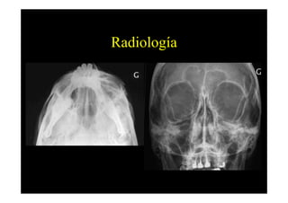 Radiología
 