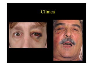Clínica
 