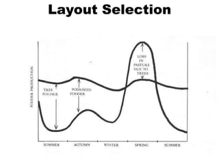Layout Selection
 