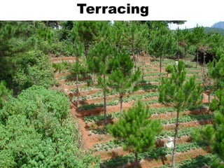 Terracing
 