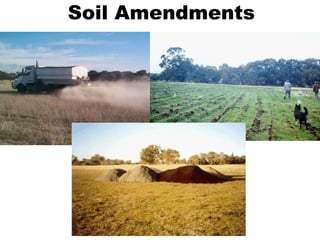 Soil Amendments
 