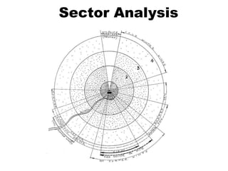 Sector Analysis
 