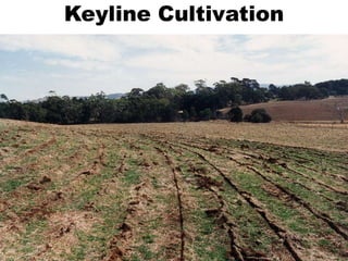 Keyline Cultivation
 